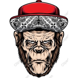 Urban Gorilla with Cap