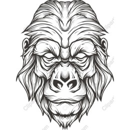 Fierce Gorilla Head
