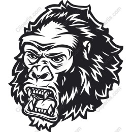 Gorilla Head
