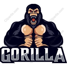 Fierce Gorilla