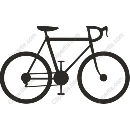Sleek Bicycle