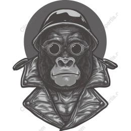 Urban Gorilla