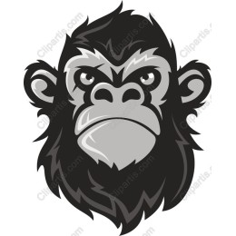 Bold Gorilla Face