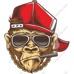 Cool Street Monkey