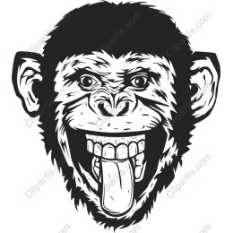 Fierce Monkey Face