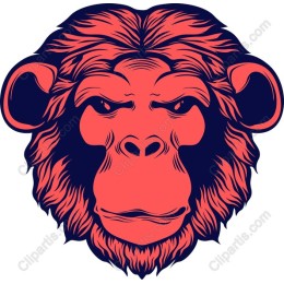 Vibrant Monkey Head