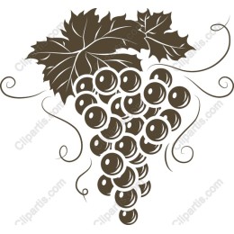 Elegant Grape Bunch