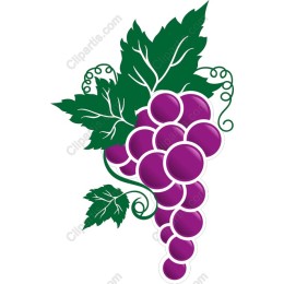 Fresh Grapes