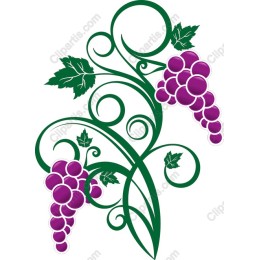 Elegant Grape Vine
