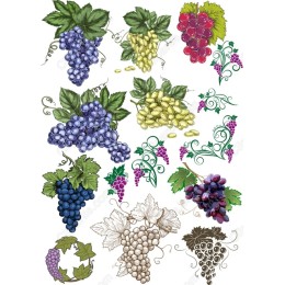 Premium Grape Bundle