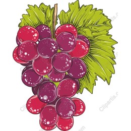 Vibrant Grapes in and