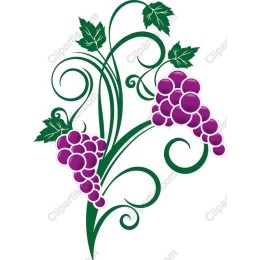 Vibrant Grape Cluster