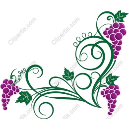 Lush Grape Vine