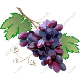 Vibrant Grape Cluster
