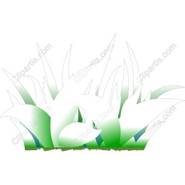 Elegant Green Grass
