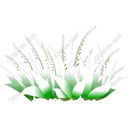 Green Grass