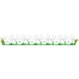 Elegant Floral Border