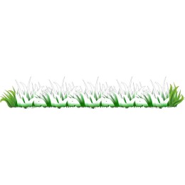 Lush Grass