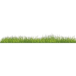 Lush Green Grass