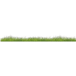 Vibrant Grass