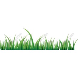 Lush Green Grass