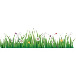 Vibrant Grass and Flower