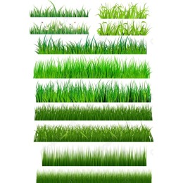 Lush Greenery Grass Clipart Set