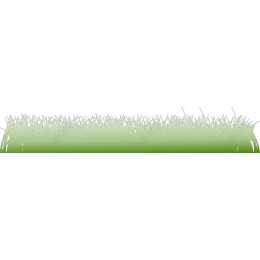 Lush Grass