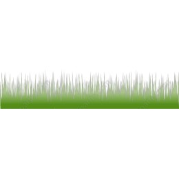 Lush Green Grass