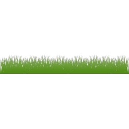Lush Green Grass