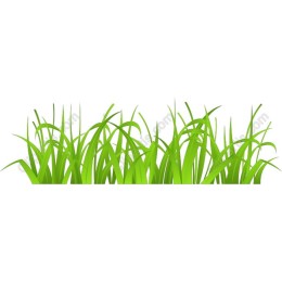 Vibrant Grass