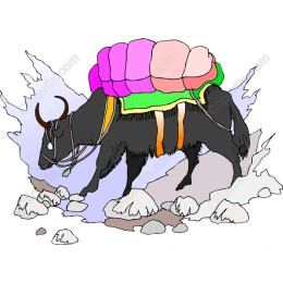 Vibrant Yak