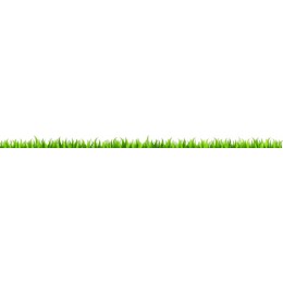 Vibrant Green Grass