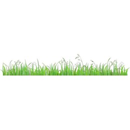 Lush Green Grass