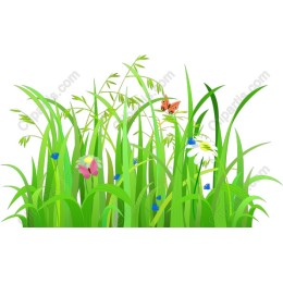 Lush Green Grass with Butterflies and Wildflowers