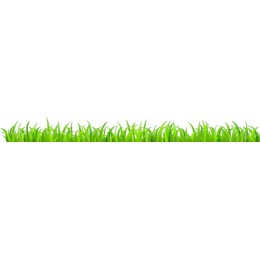 Lush Green Grass