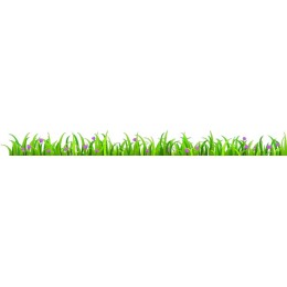 Vibrant Grass and Flower Border