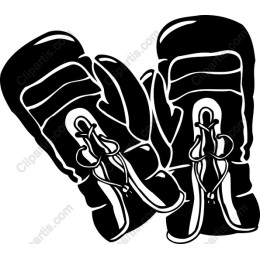 Snowboarding Gloves