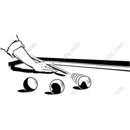 Billiards Player