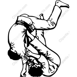 Judo Action
