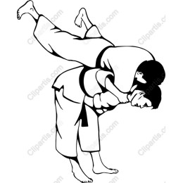 Dynamic Martial Arts Grappling