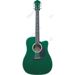 Green Acoustic Guitar