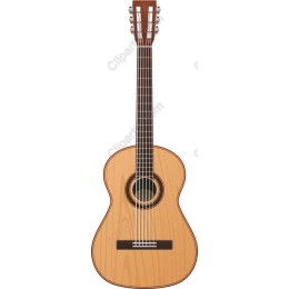 Classic Acoustic Guitar