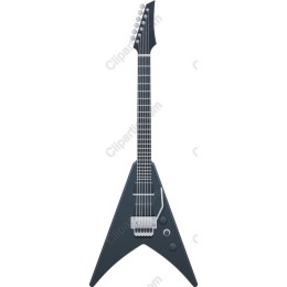 Black Electric Guitar