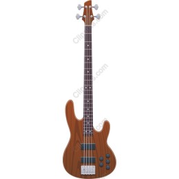Electric Bass Guitar