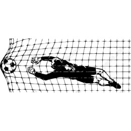 Soccer Goalie Dive