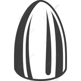 Elegant Nail Art Tip