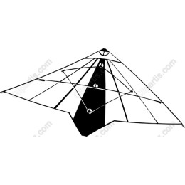 Classic Kite