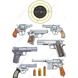 Classic Firearms Set