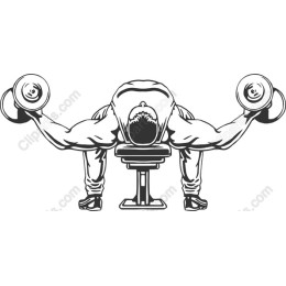Dynamic Weightlifter - Dumbbell Flyes